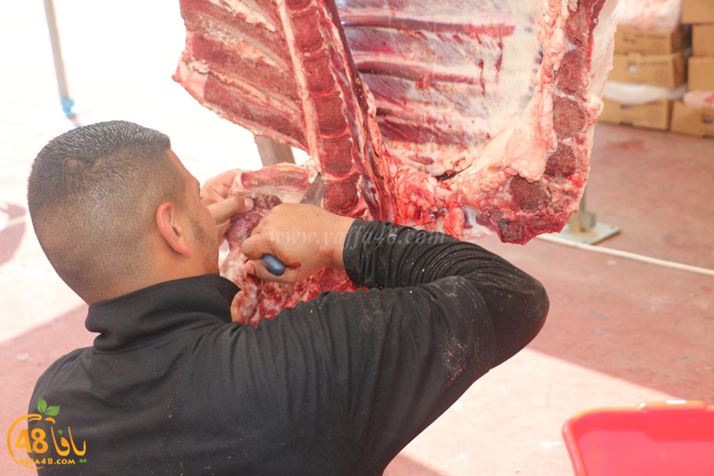 ada7y forthei (119).JPG